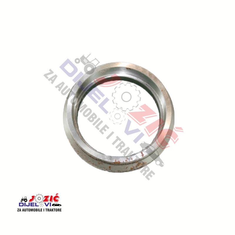 Daisy on the Ohoopee