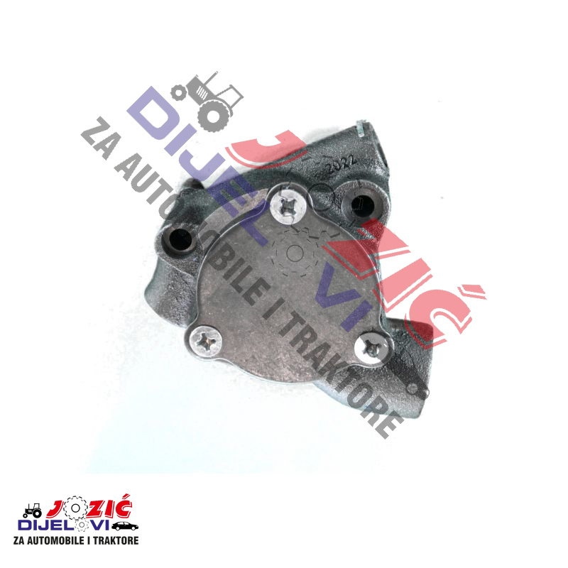 Daisy on the Ohoopee