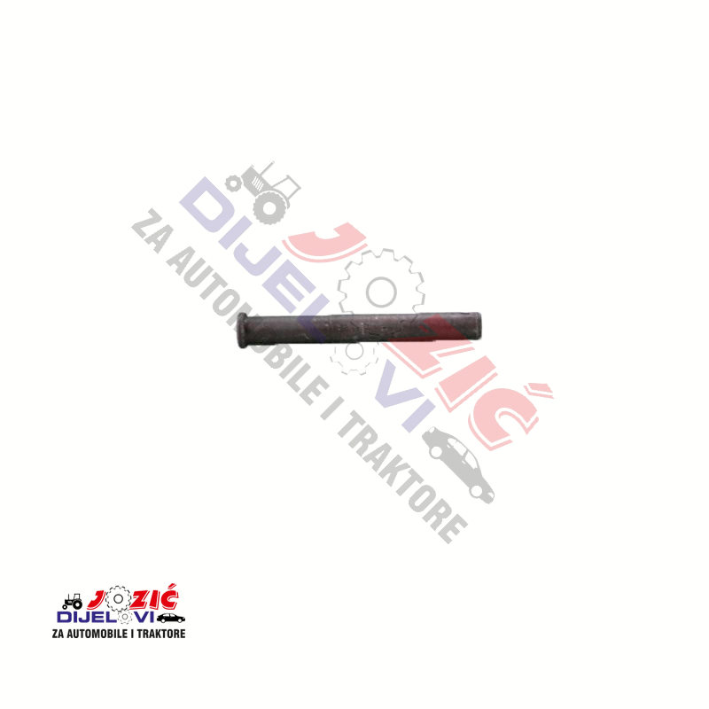 Daisy on the Ohoopee