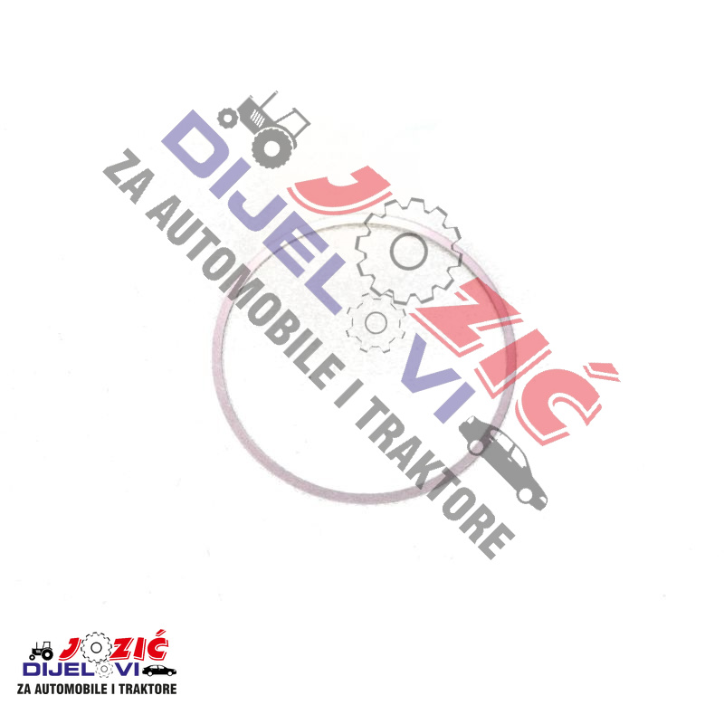 Daisy on the Ohoopee