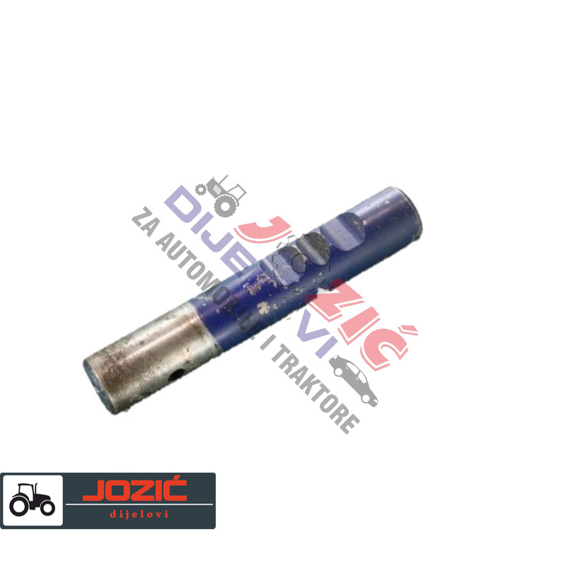 Daisy on the Ohoopee