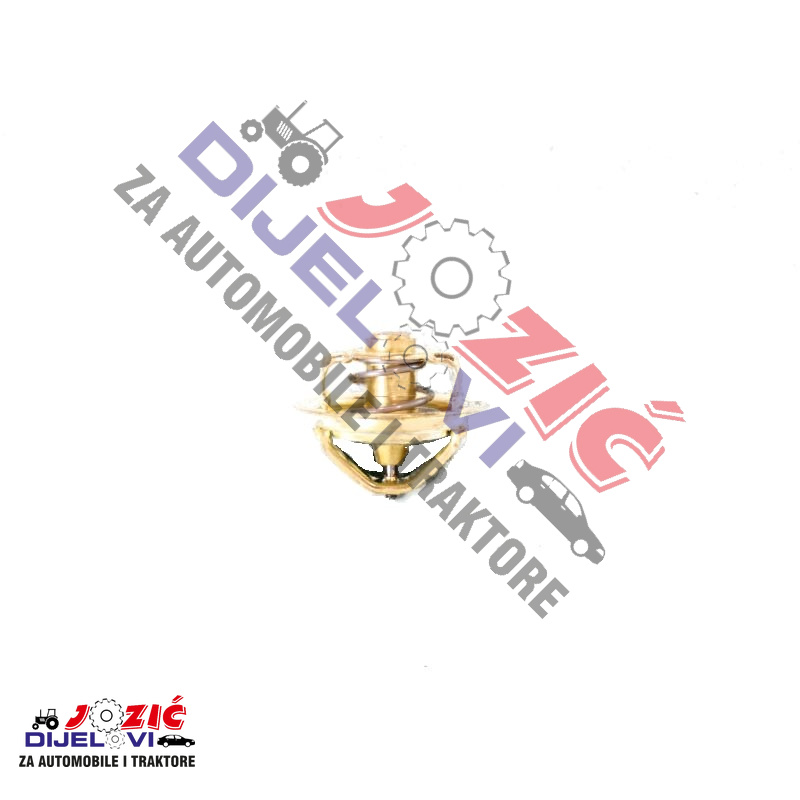 Daisy on the Ohoopee