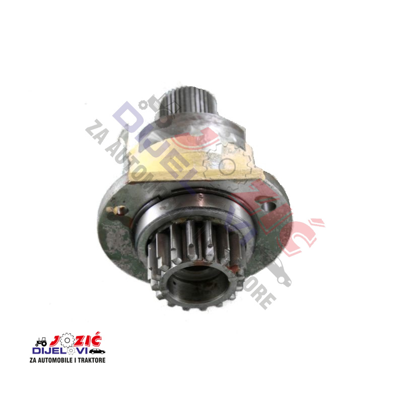 Daisy on the Ohoopee