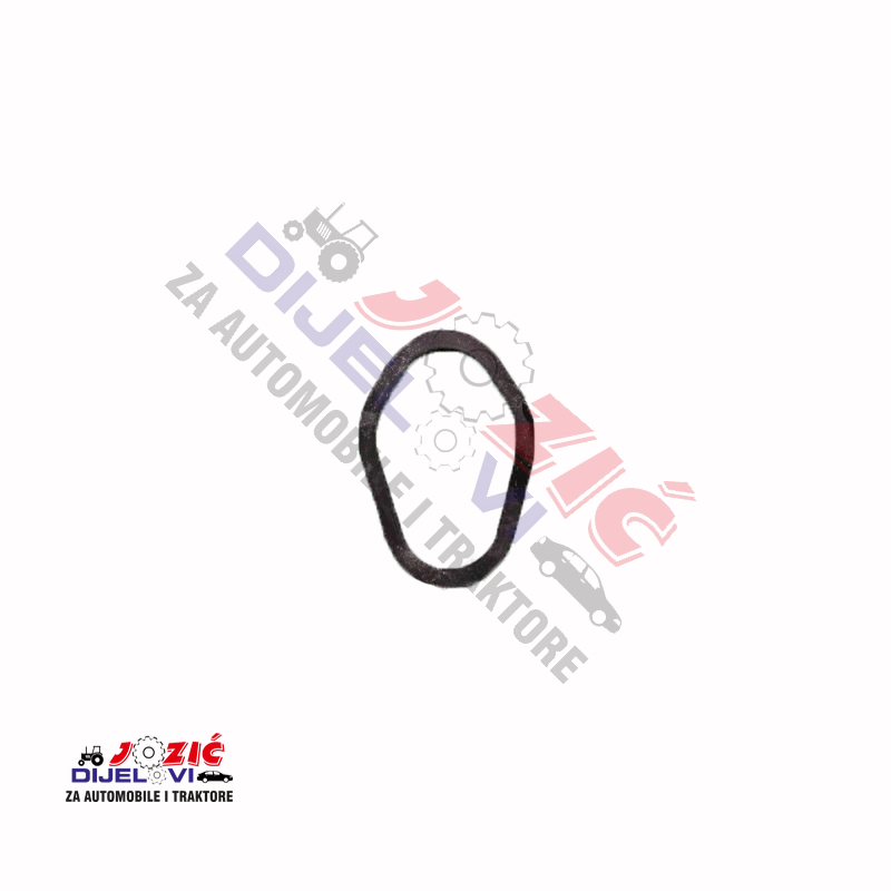 Daisy on the Ohoopee