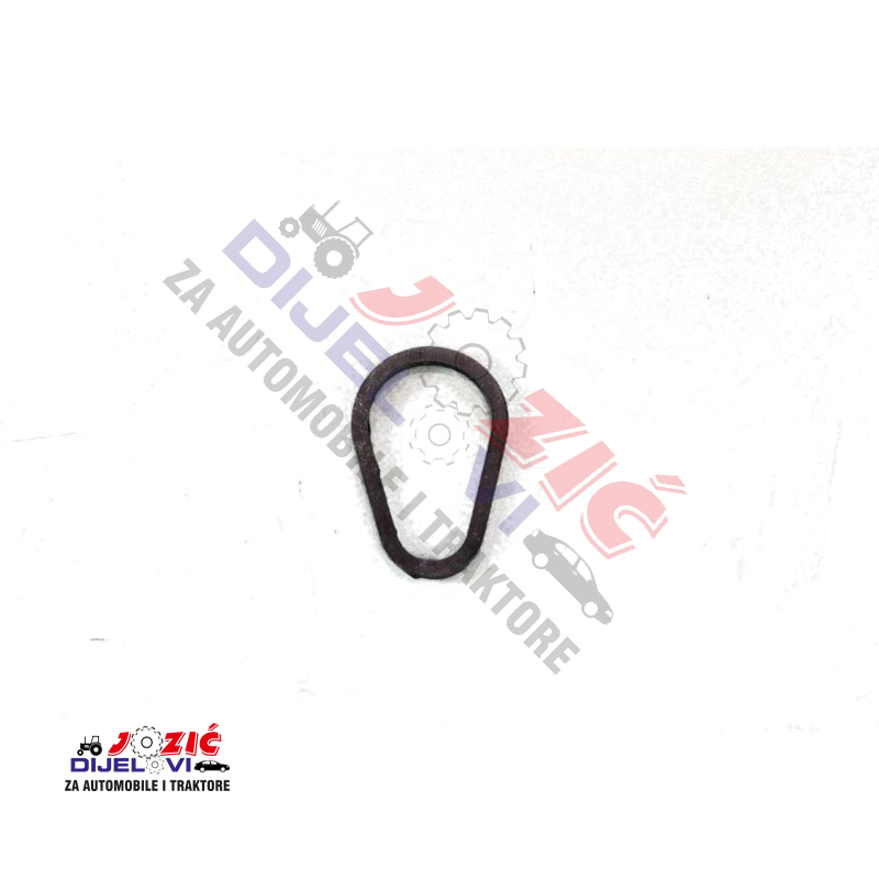 Daisy on the Ohoopee