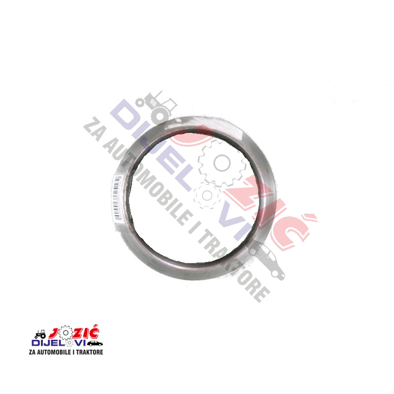 Daisy on the Ohoopee