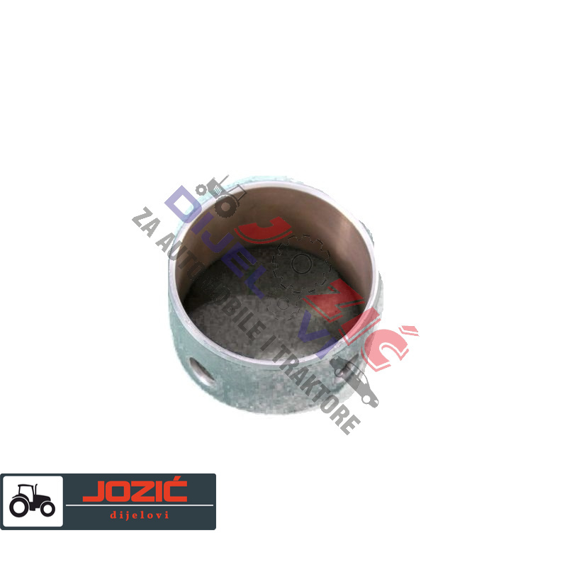 Daisy on the Ohoopee