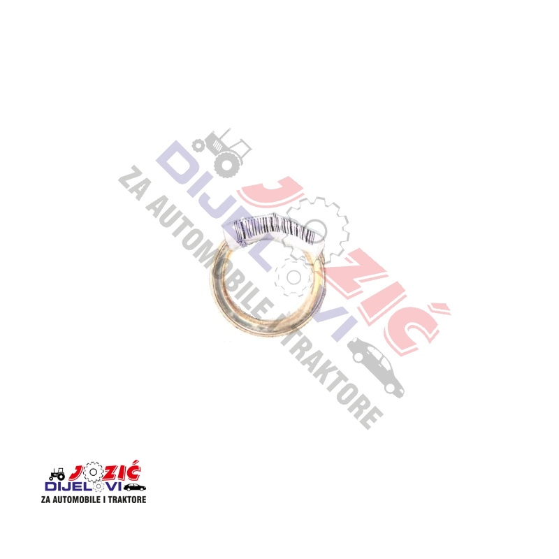 Daisy on the Ohoopee