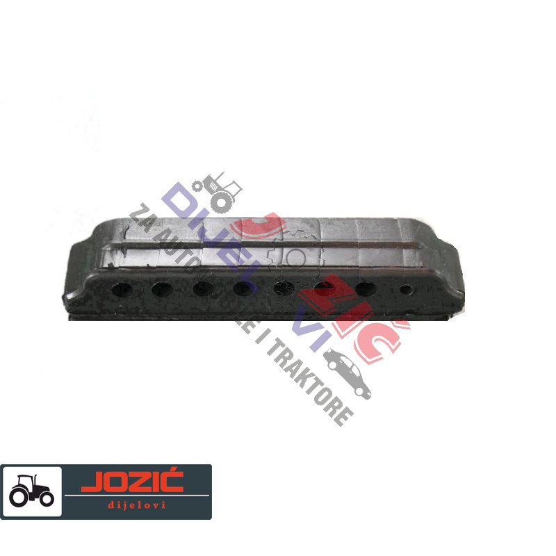 Daisy on the Ohoopee