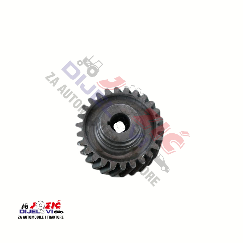 Daisy on the Ohoopee