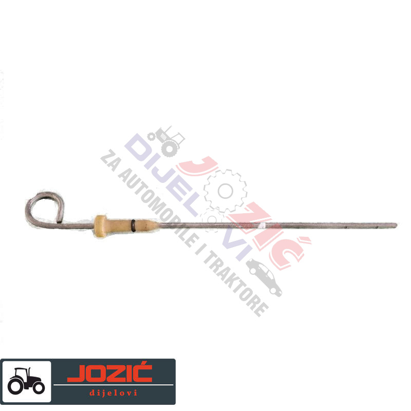 Daisy on the Ohoopee