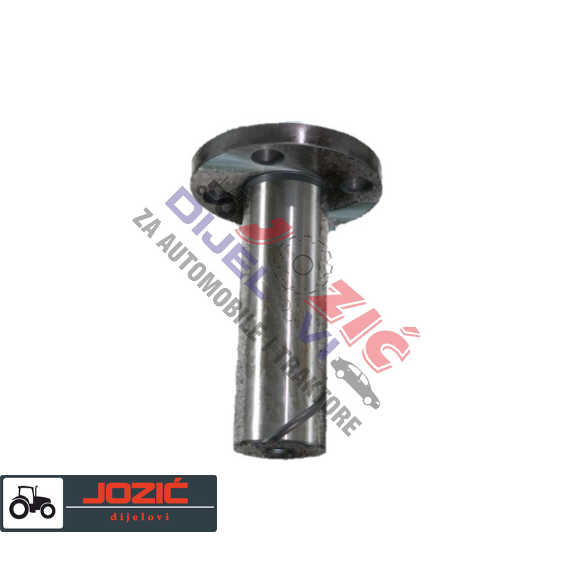 Daisy on the Ohoopee