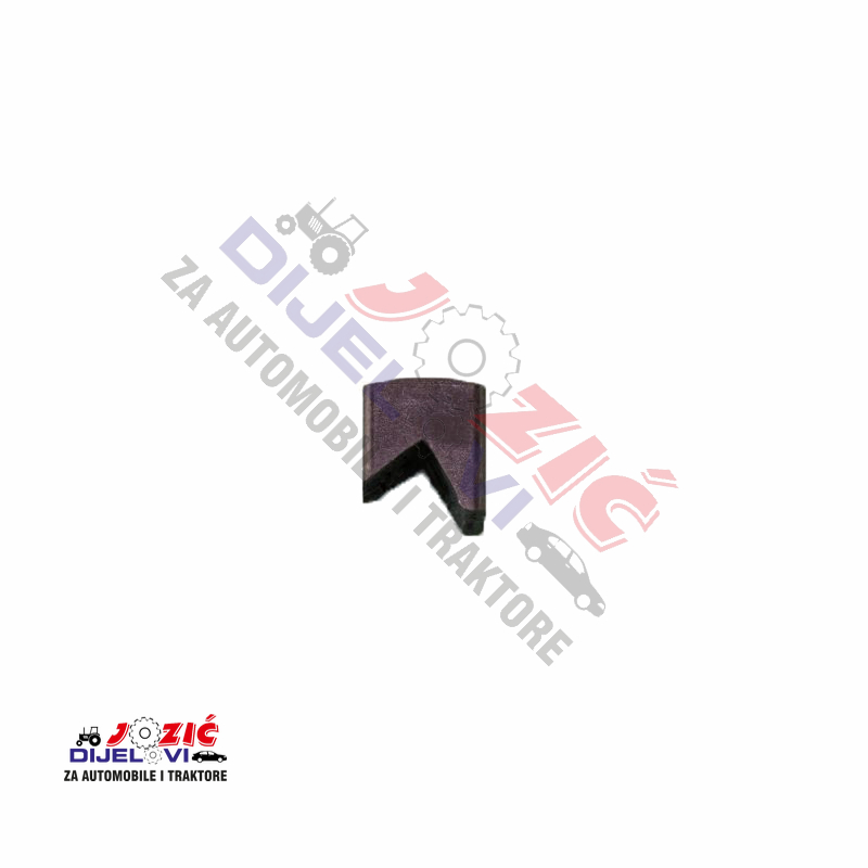 Daisy on the Ohoopee