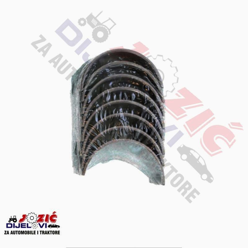 Daisy on the Ohoopee