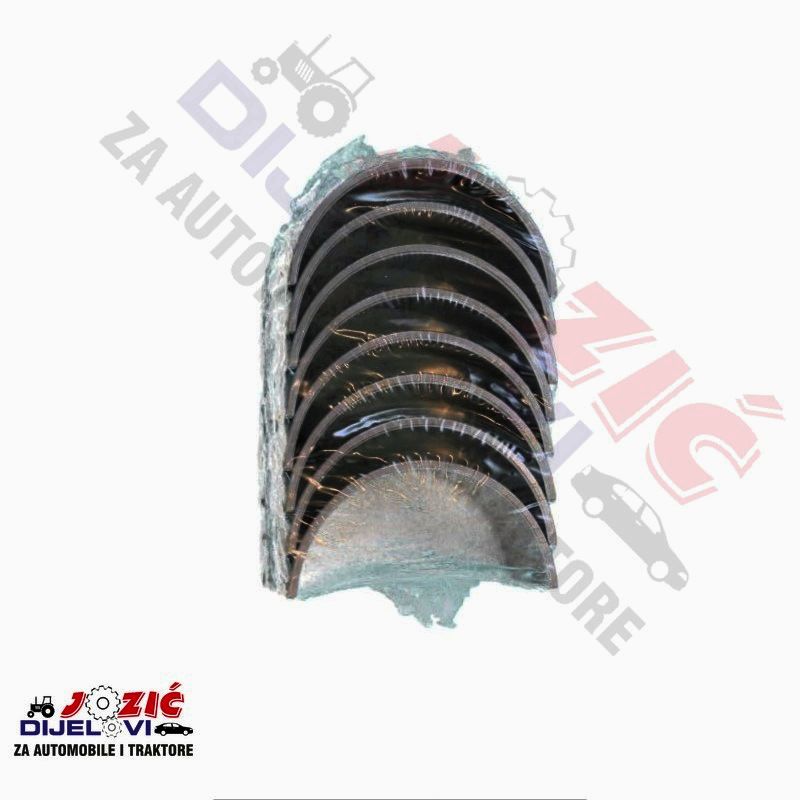 Daisy on the Ohoopee