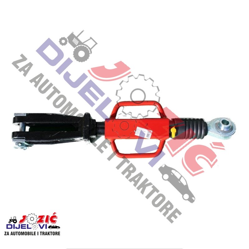 Daisy on the Ohoopee