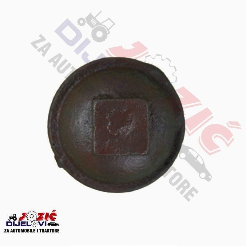 Daisy on the Ohoopee