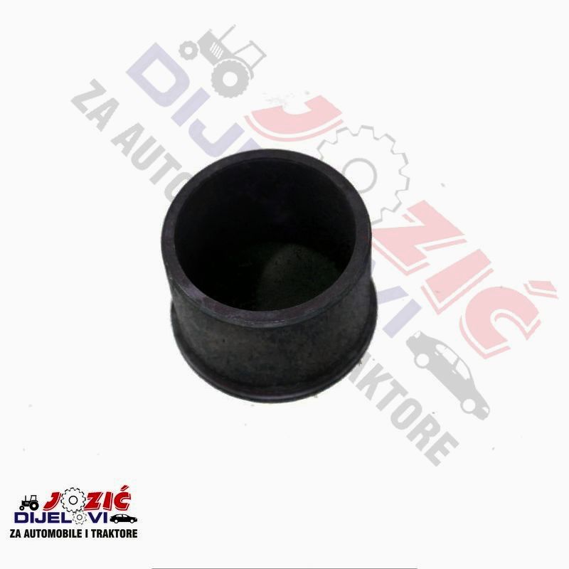 Daisy on the Ohoopee