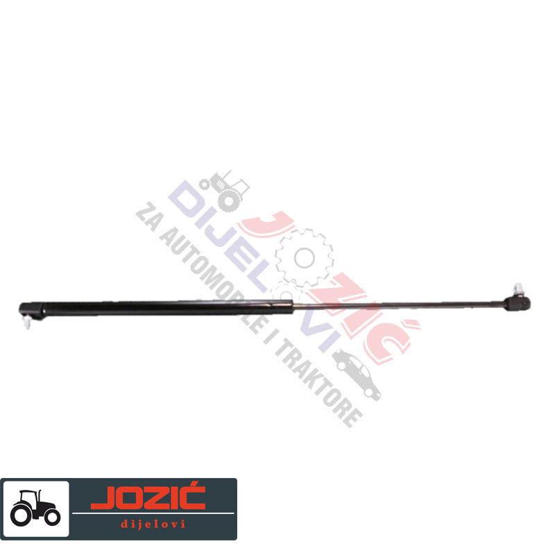 Daisy on the Ohoopee