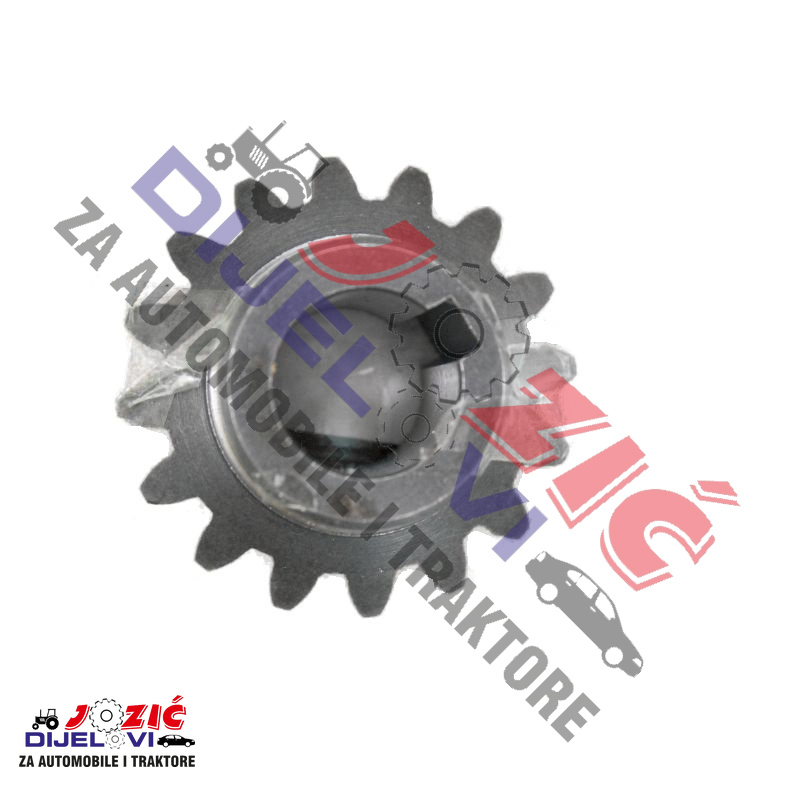 Daisy on the Ohoopee