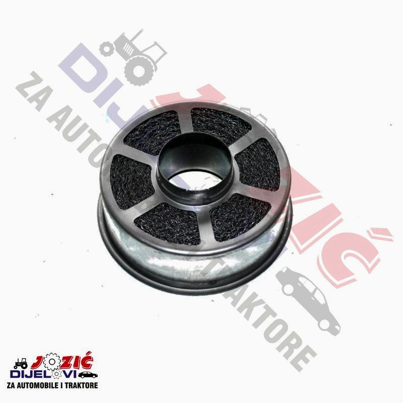 Daisy on the Ohoopee