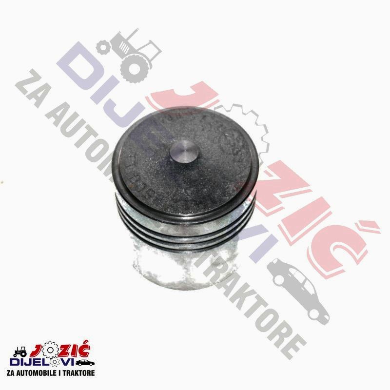 Daisy on the Ohoopee