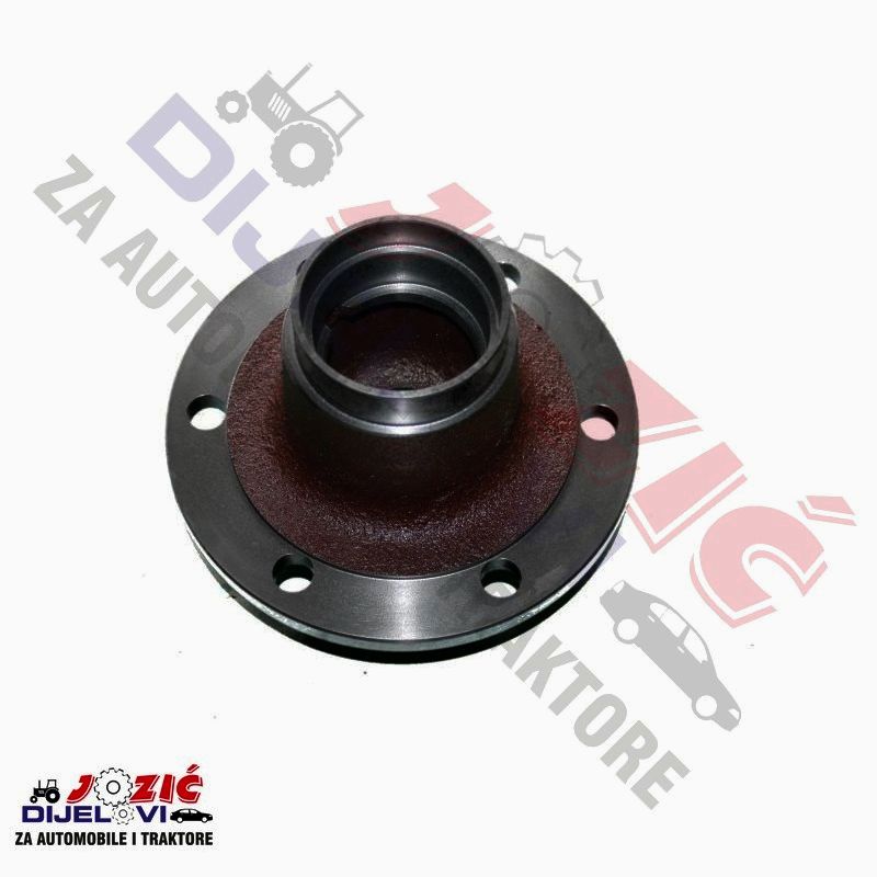 Daisy on the Ohoopee