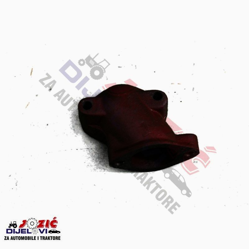 Daisy on the Ohoopee