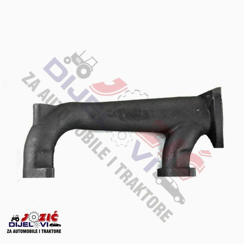 Daisy on the Ohoopee