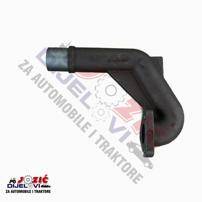 Daisy on the Ohoopee