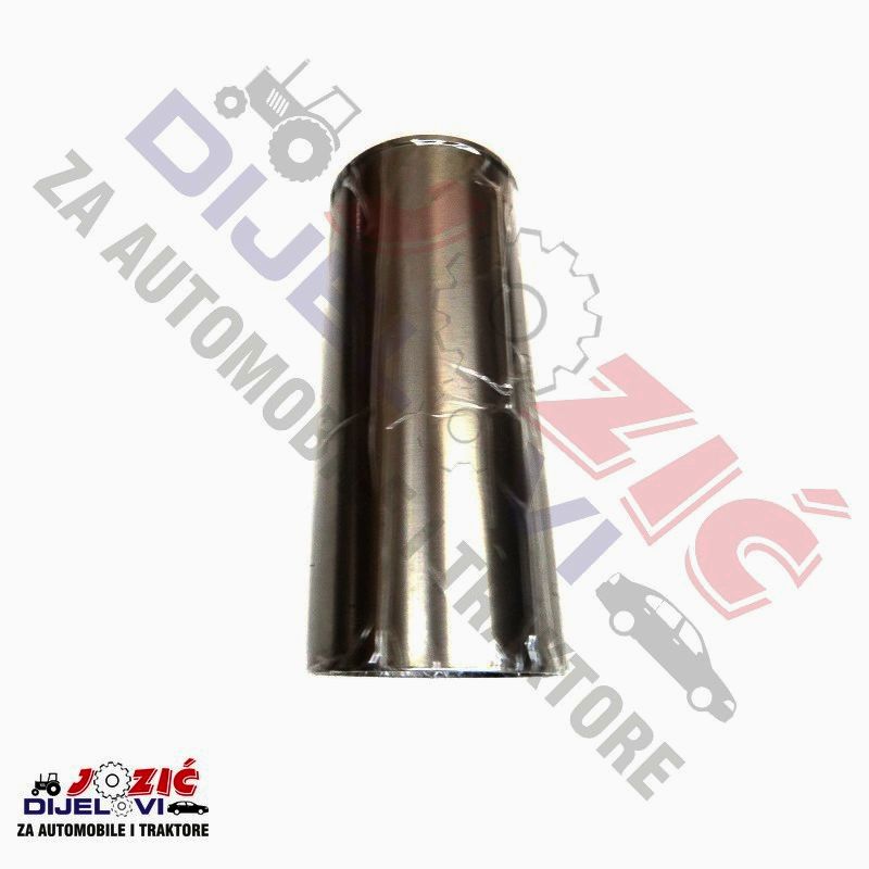 Daisy on the Ohoopee