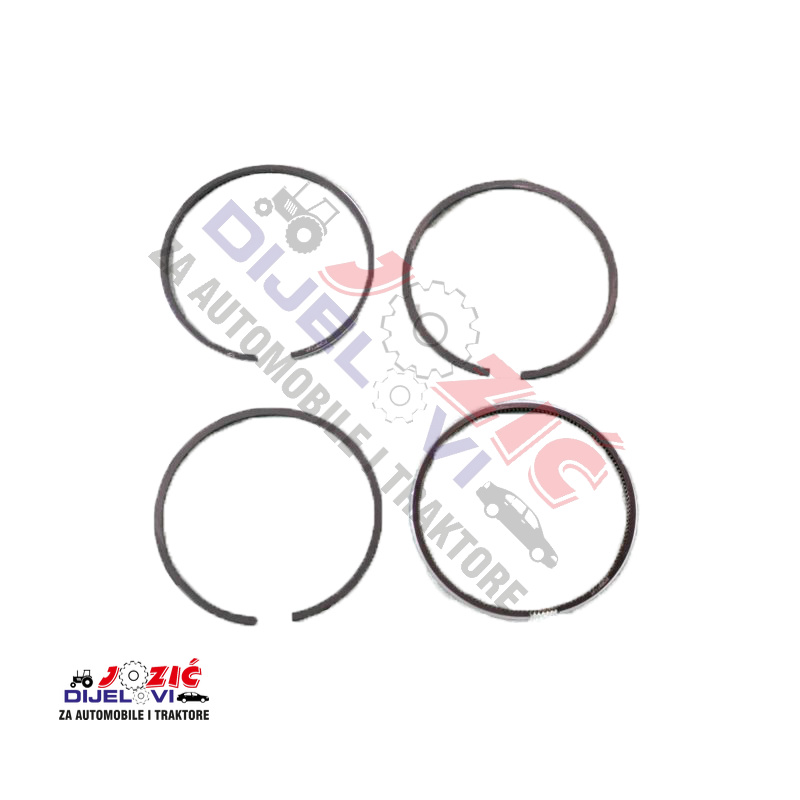 Daisy on the Ohoopee