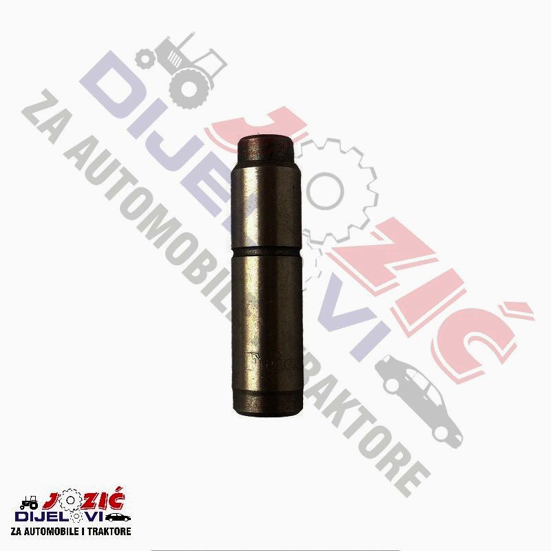 Daisy on the Ohoopee