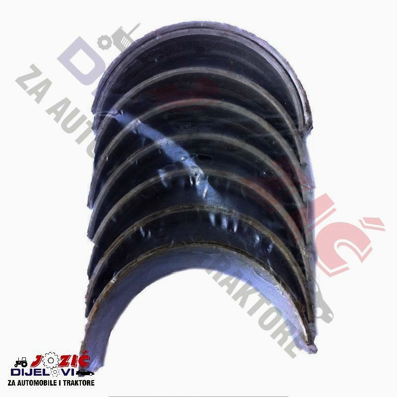 Daisy on the Ohoopee