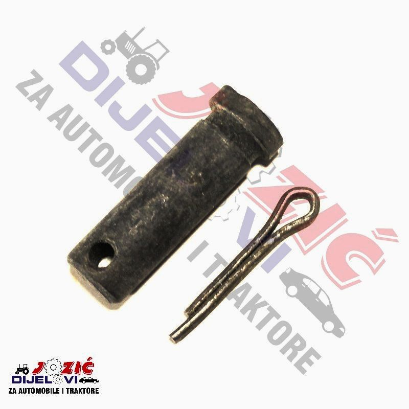 Daisy on the Ohoopee