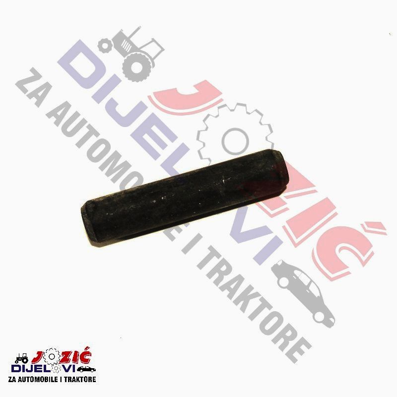 Daisy on the Ohoopee