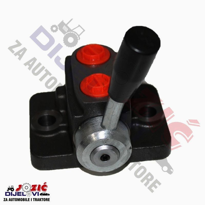 Daisy on the Ohoopee