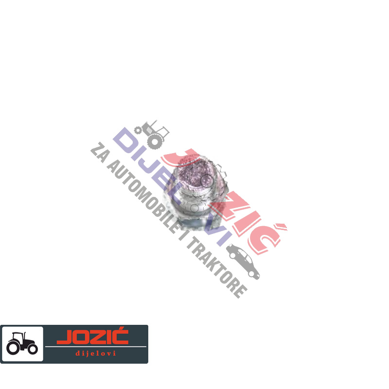 Daisy on the Ohoopee