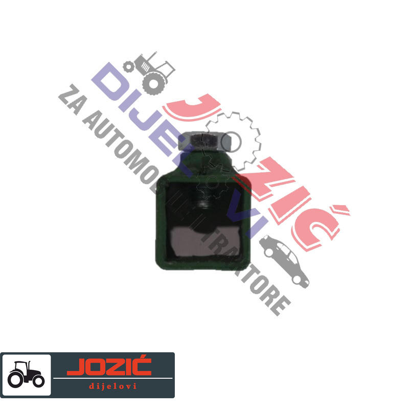 Daisy on the Ohoopee