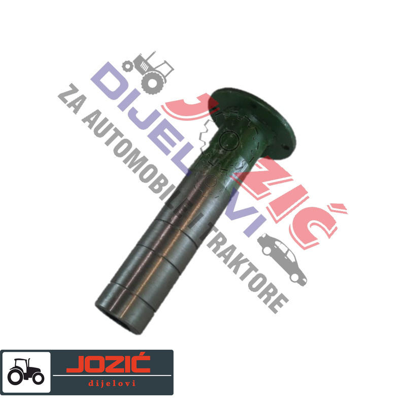 Daisy on the Ohoopee