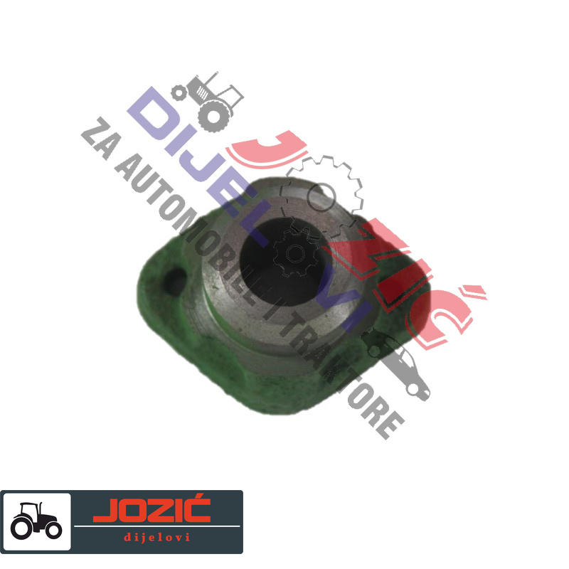 Daisy on the Ohoopee