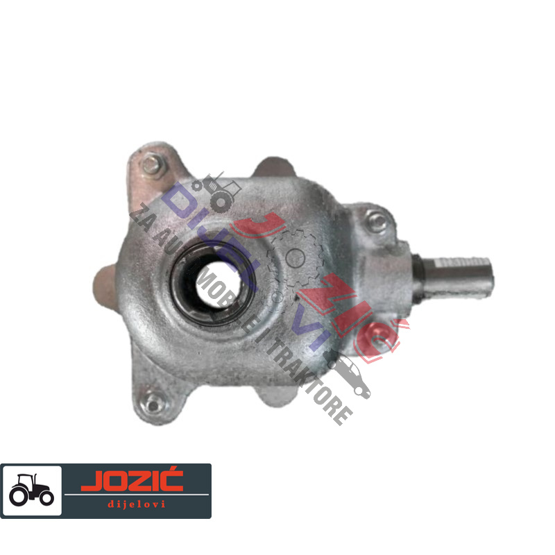 Daisy on the Ohoopee