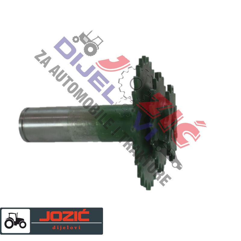 Daisy on the Ohoopee