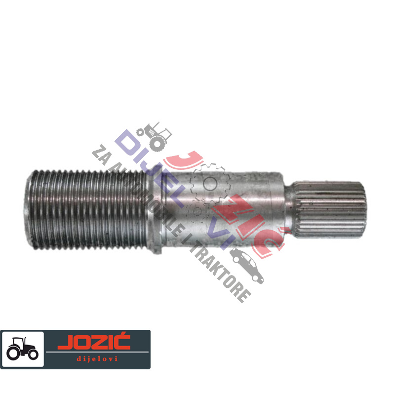 Daisy on the Ohoopee