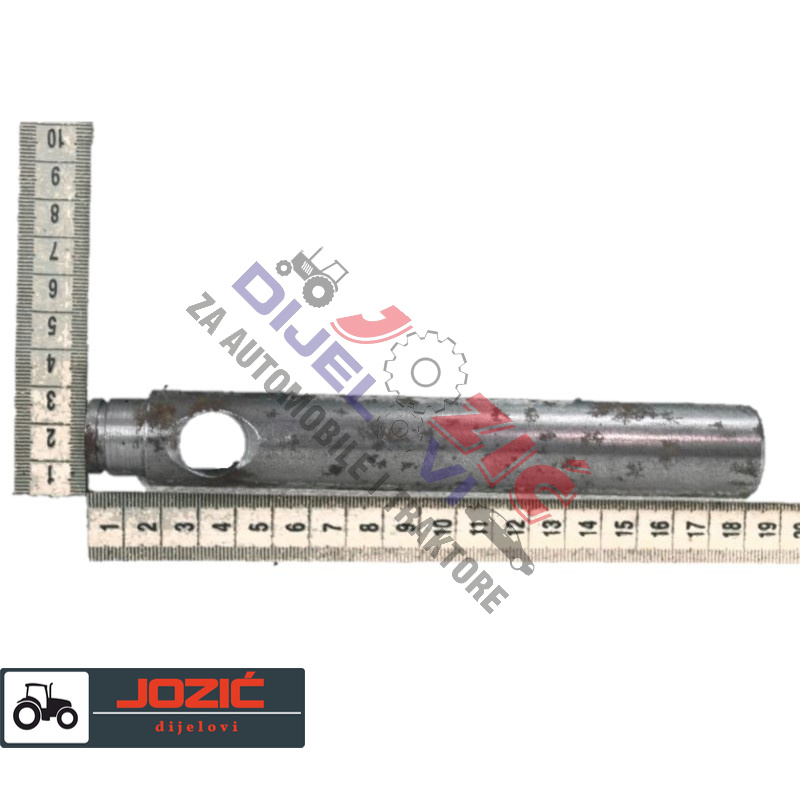 Daisy on the Ohoopee