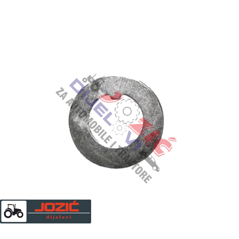 Daisy on the Ohoopee