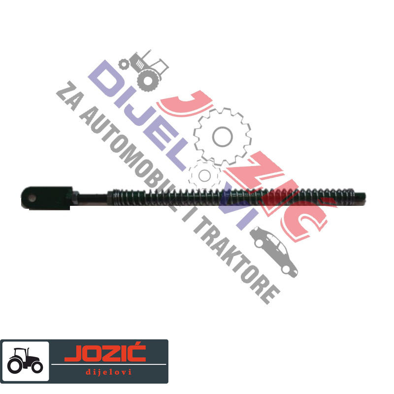 Daisy on the Ohoopee