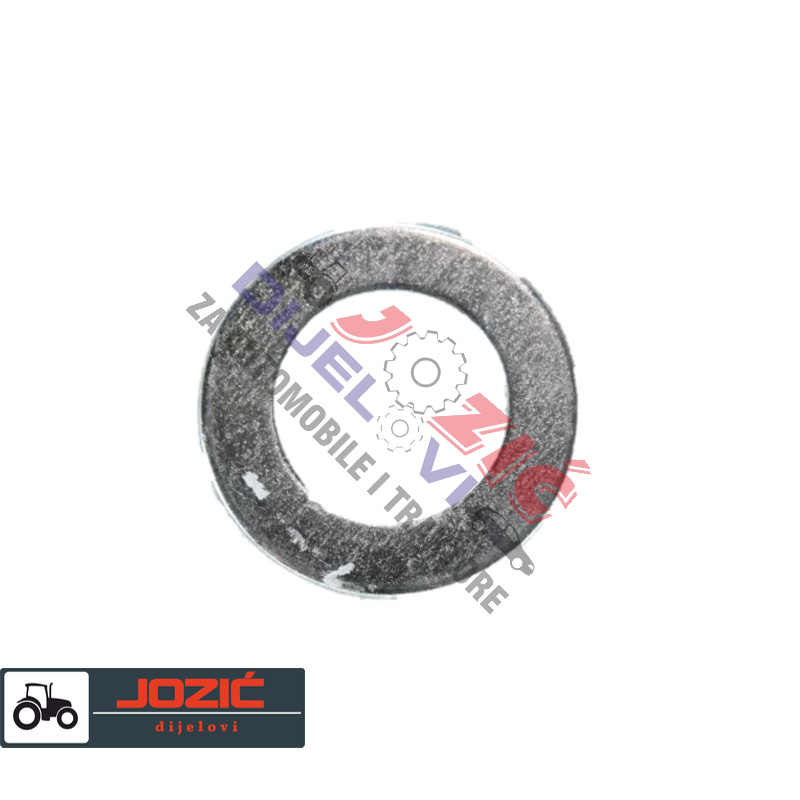 Daisy on the Ohoopee