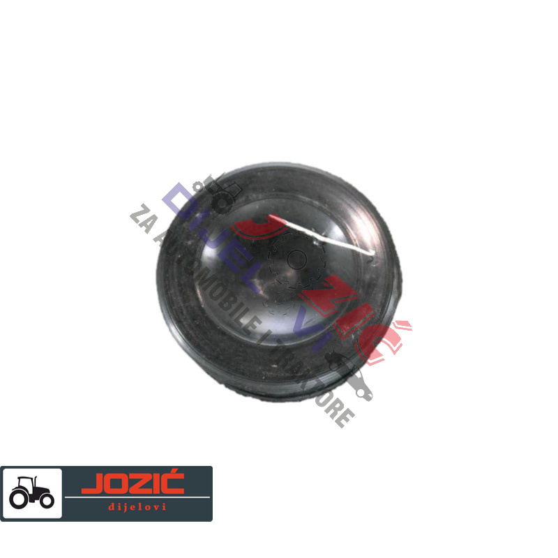 Daisy on the Ohoopee