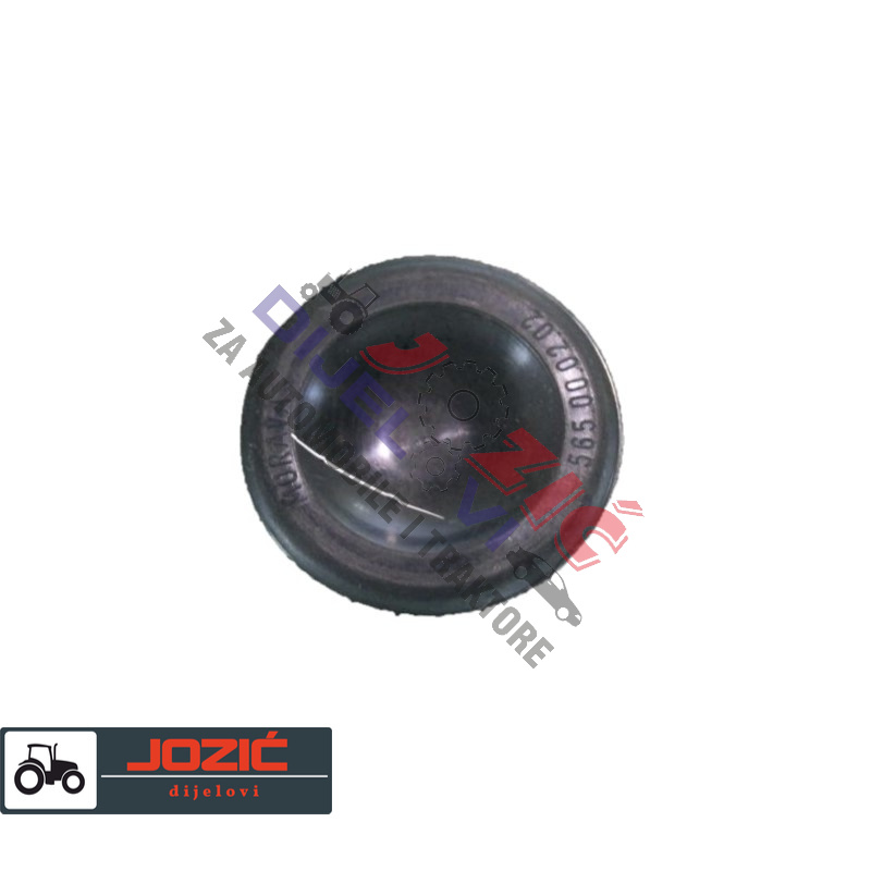 Daisy on the Ohoopee